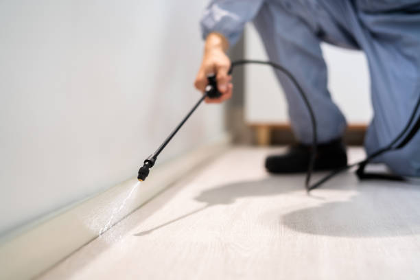 Licensed Pest Control service in Orrville, OH - Show Me Pest Control
